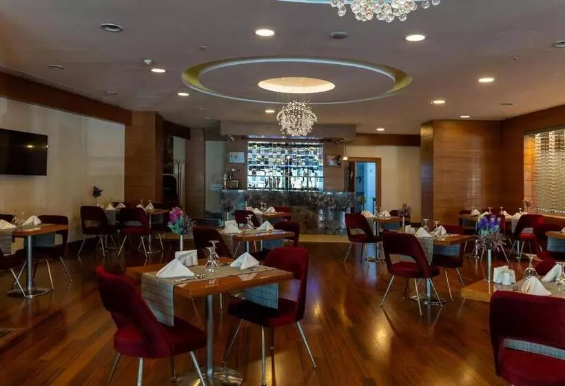 Hotelli Ankara Plaza