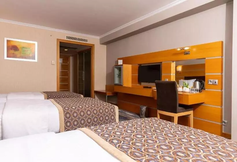 Hotelli Ankara Plaza