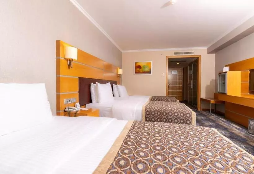 Hotelli Ankara Plaza