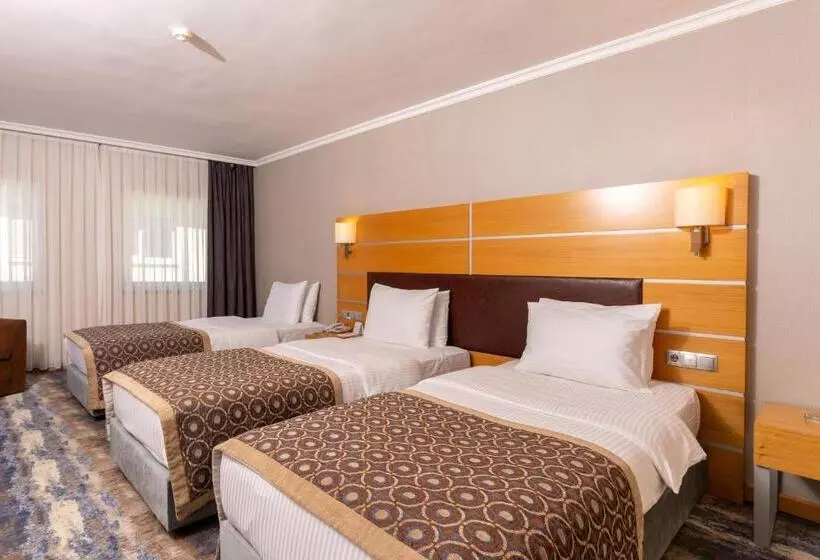 Hotelli Ankara Plaza