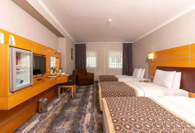 Hotelli Ankara Plaza