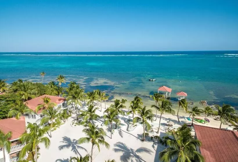 ホテル Belizean Shores Resort