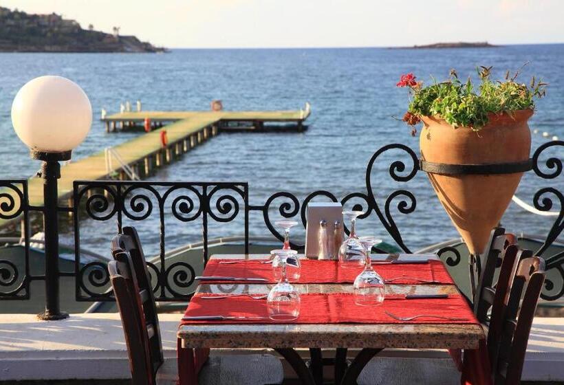 Отель Cactus Fleur Beach Club   All Inclusive