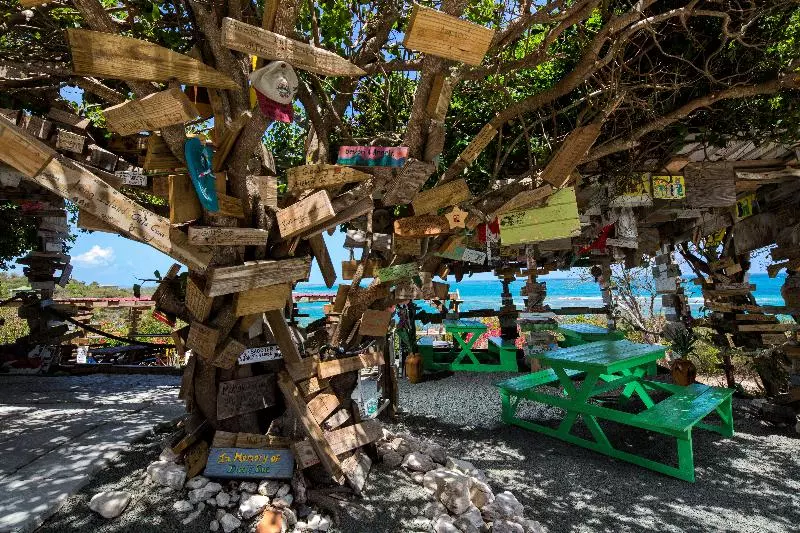 هتل Pineapple Beach Club All Inclusive Adults Only