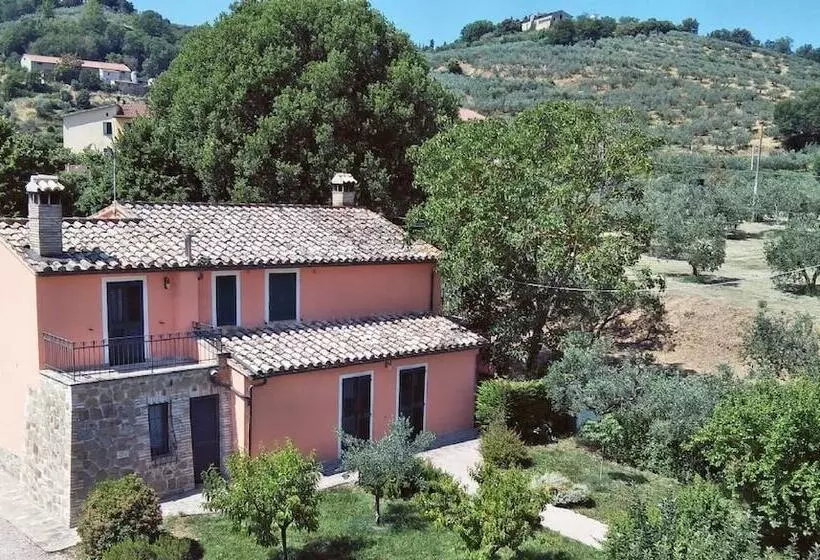 La Macina Di Bettona