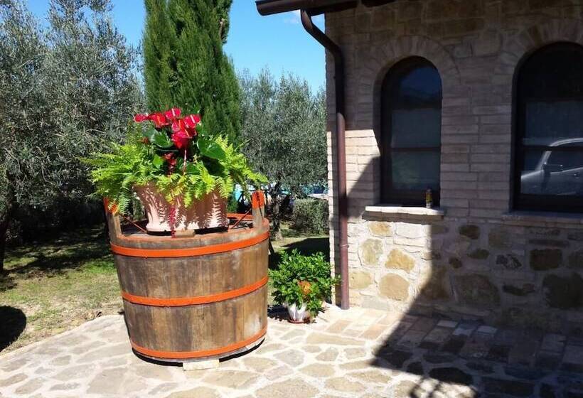 La Macina Di Bettona