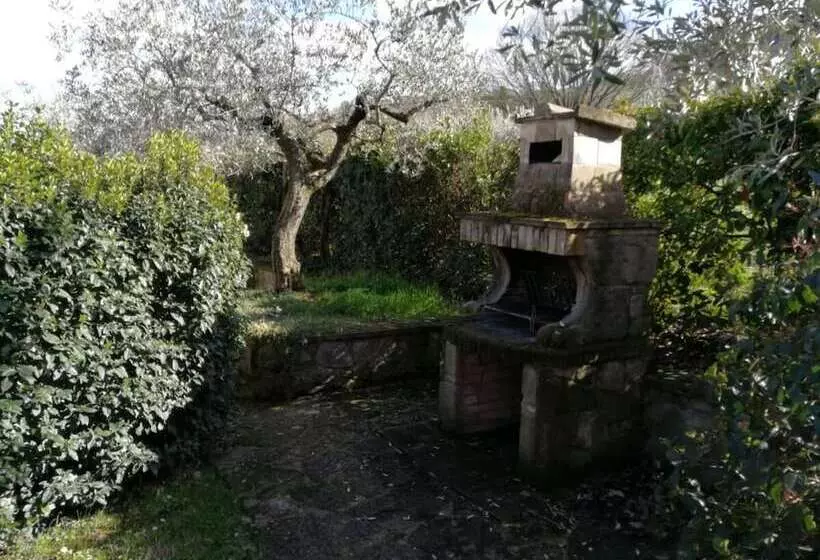 La Macina Di Bettona