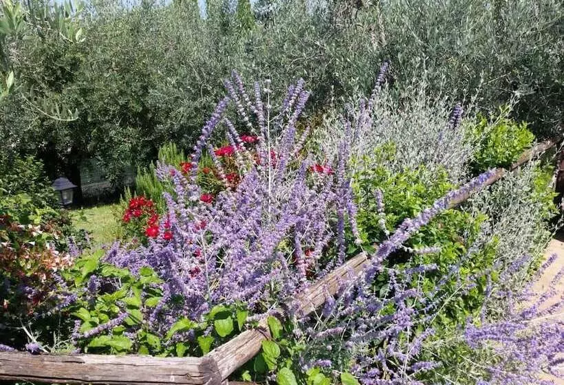 La Macina Di Bettona