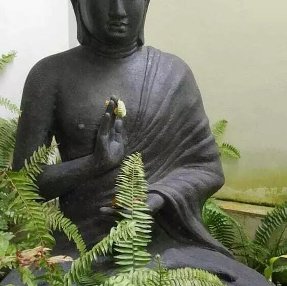 Aamiaismajoitus (B&B) Villa Lumbalumba Banyualit