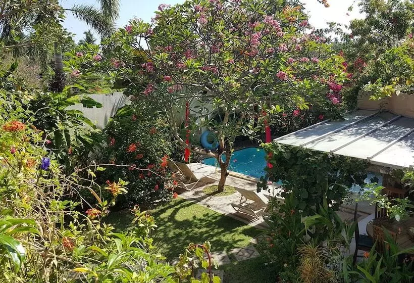 Aamiaismajoitus (B&B) Villa Lumbalumba Banyualit