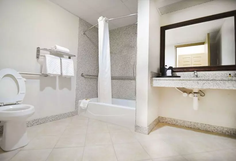 Best Western Plus Sandusky Hotel & Suites