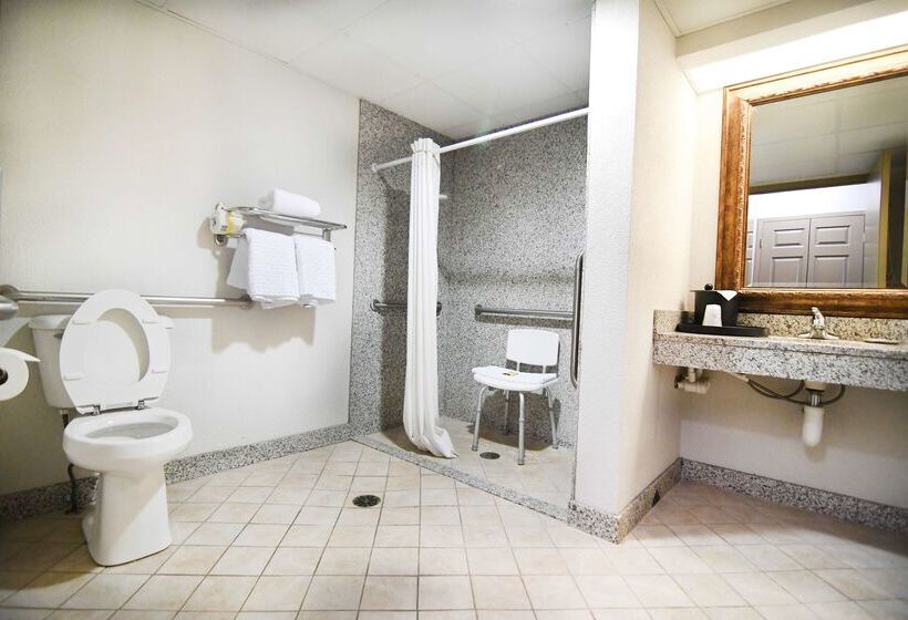 Best Western Plus Sandusky Hotel & Suites