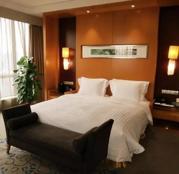 هتل Chongqing Oriental