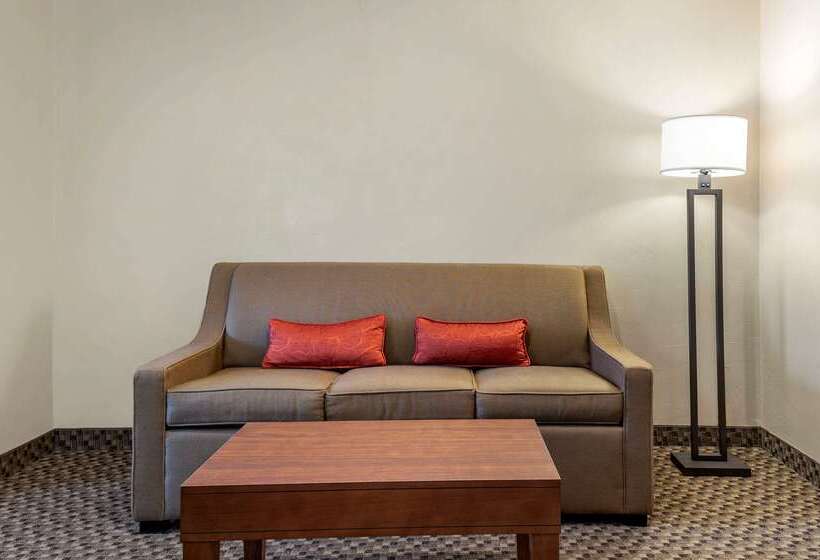 فندق Comfort Inn At Convention Center