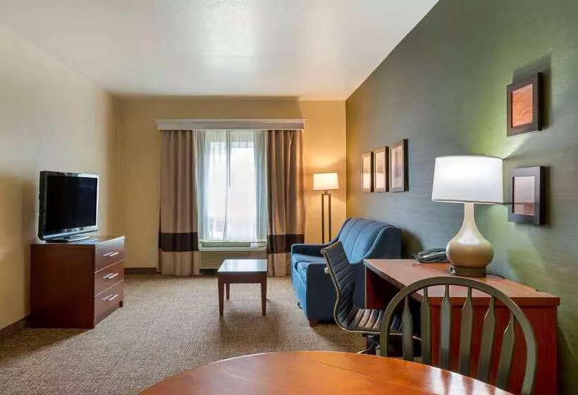 هتل Comfort Inn & Suites Salem