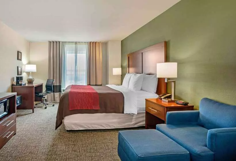 هتل Comfort Inn & Suites Salem