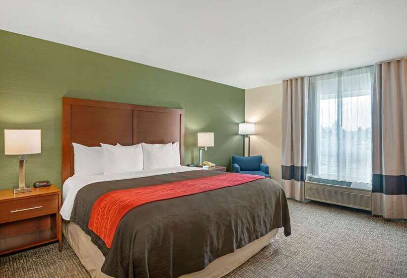 فندق Comfort Inn & Suites Salem