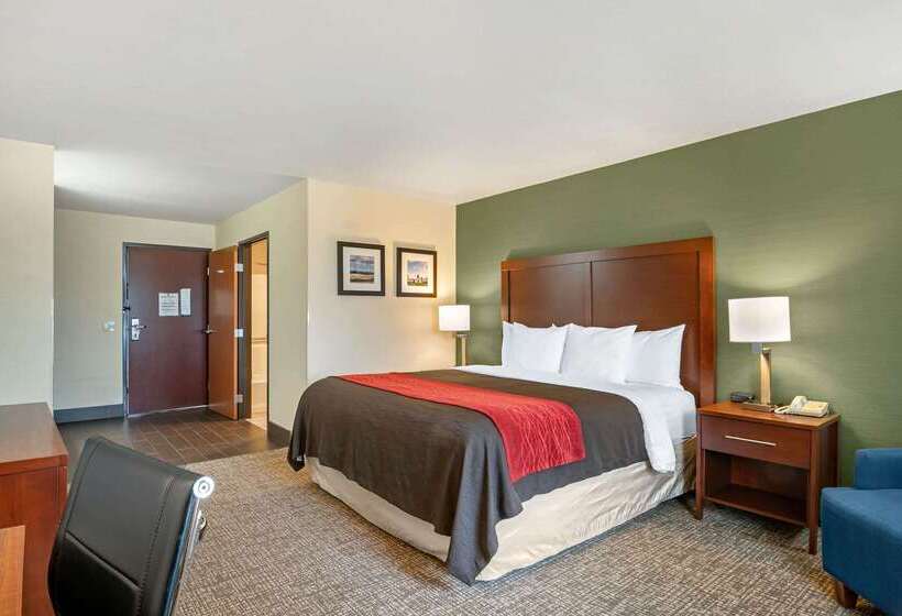 فندق Comfort Inn & Suites Salem