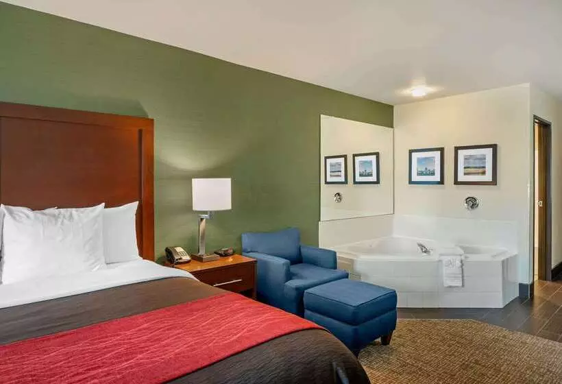 هتل Comfort Inn & Suites Salem