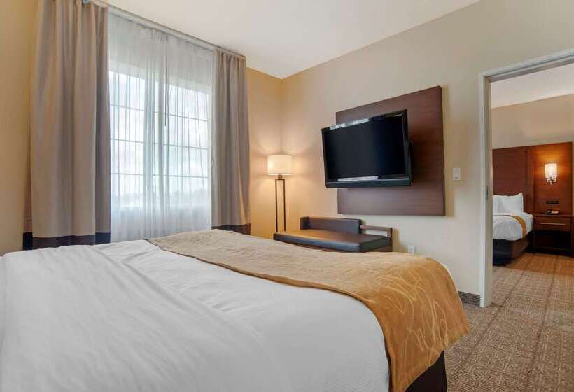 فندق Comfort Suites