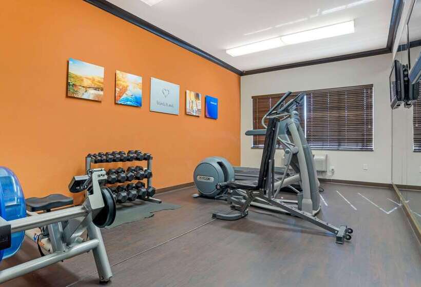 فندق Comfort Suites