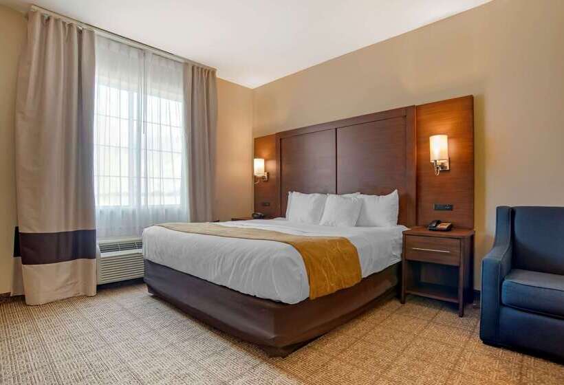 فندق Comfort Suites