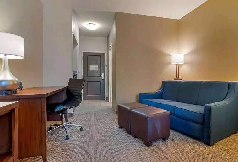 هتل Comfort Suites