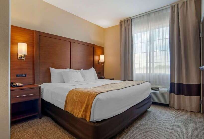 فندق Comfort Suites