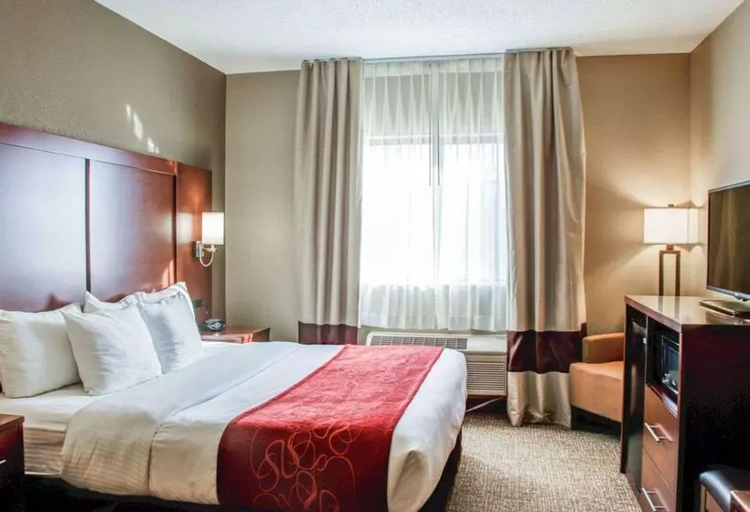 فندق Comfort Suites Lombard   Addison