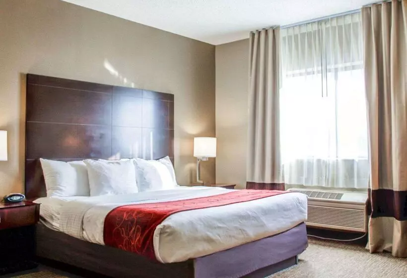 فندق Comfort Suites Lombard   Addison