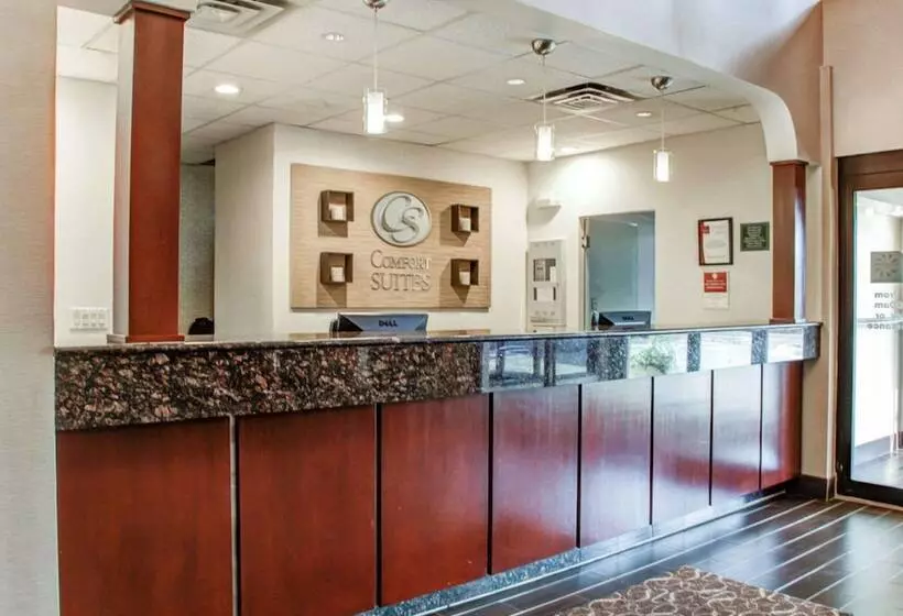 فندق Comfort Suites Lombard   Addison
