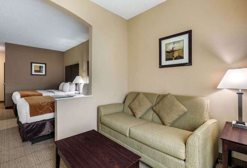 Hotel Comfort Suites The Colony  Plano West