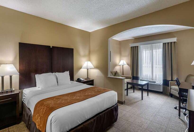 Hotel Comfort Suites The Colony  Plano West