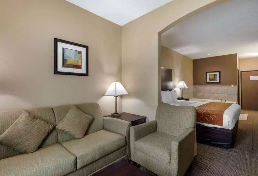 Otel Comfort Suites The Colony  Plano West