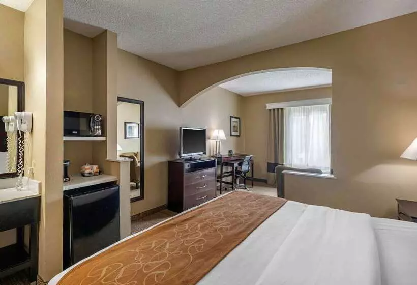 Otel Comfort Suites The Colony  Plano West