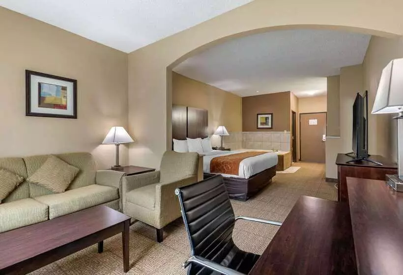 Otel Comfort Suites The Colony  Plano West