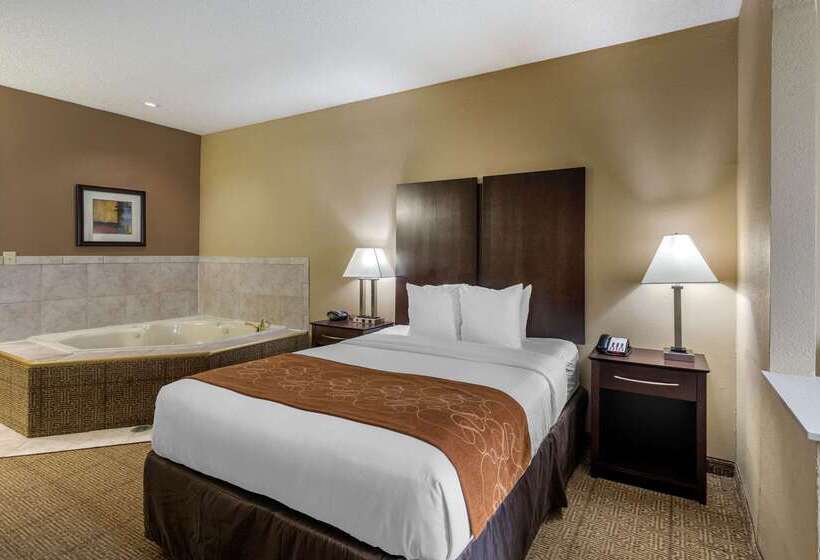 Hotel Comfort Suites The Colony  Plano West