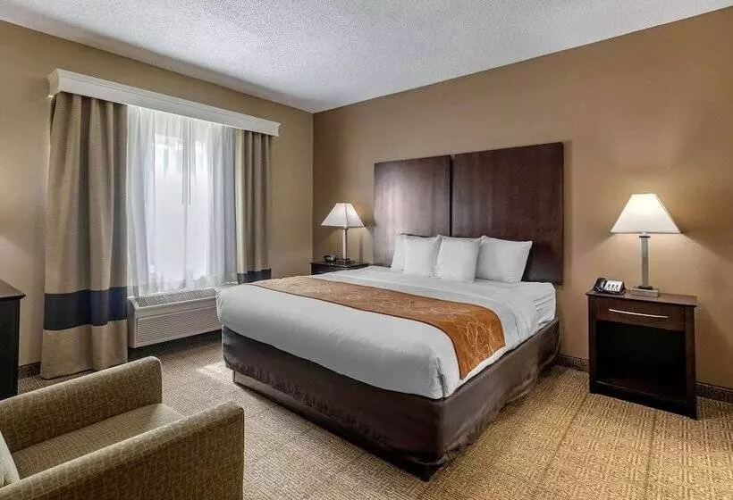 Otel Comfort Suites The Colony  Plano West