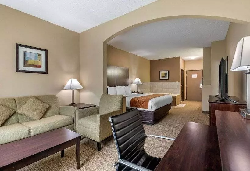 Otel Comfort Suites The Colony  Plano West