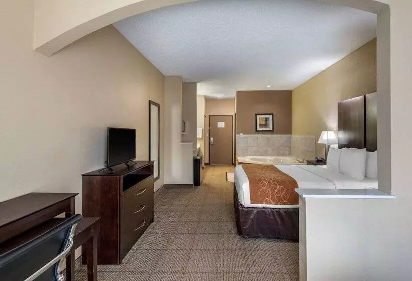 Otel Comfort Suites The Colony  Plano West