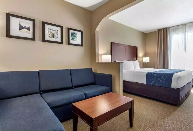 ホテル Comfort Suites Waco Near University Area