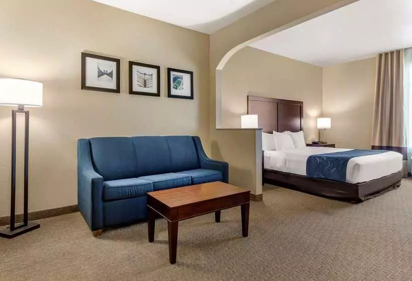 ホテル Comfort Suites Waco Near University Area