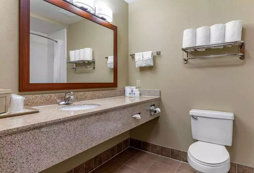 ホテル Comfort Suites Waco Near University Area