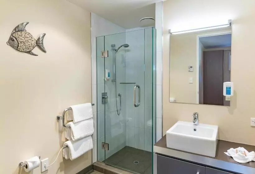 Отель Edgewater Palms Apartments