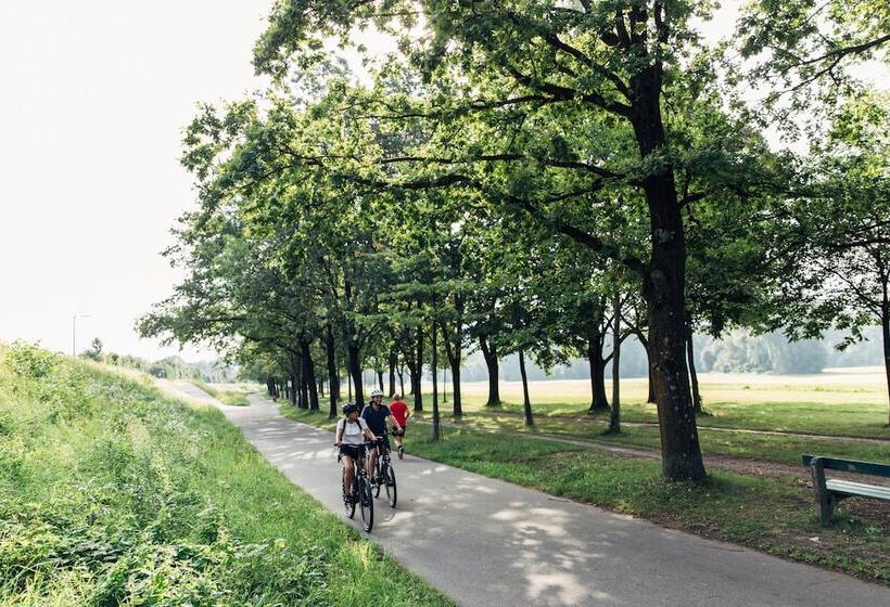 Harry S Home Linz Urfahr Hotel & Apartments