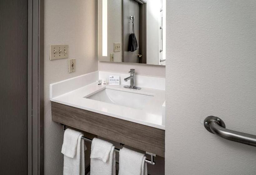 هتل Holiday Inn Express Charleston/kanawha City, An Ihg