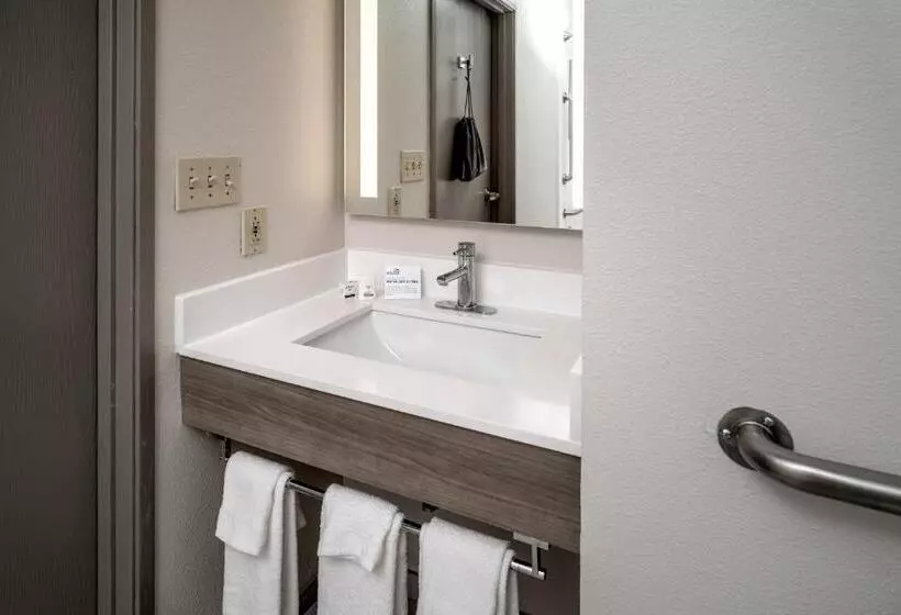 ホテル Holiday Inn Express   Charleston/kanawha City, An Ihg