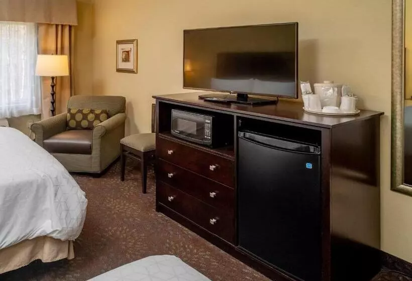 ホテル Holiday Inn Express   Charleston/kanawha City, An Ihg