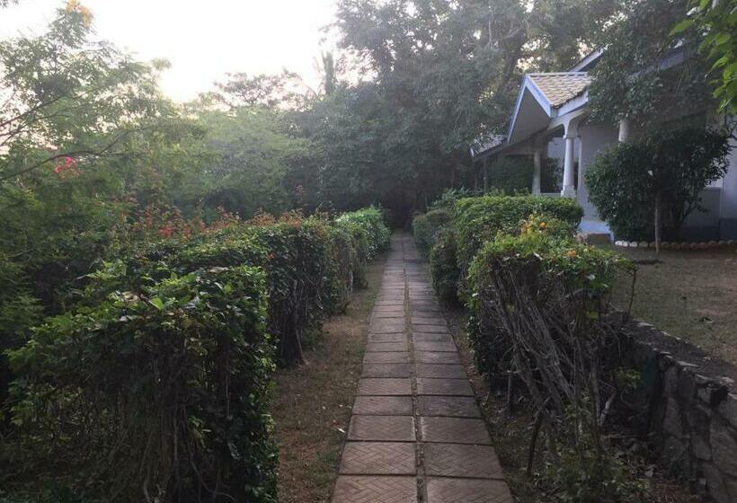 Отель The Oasis Beach Resort