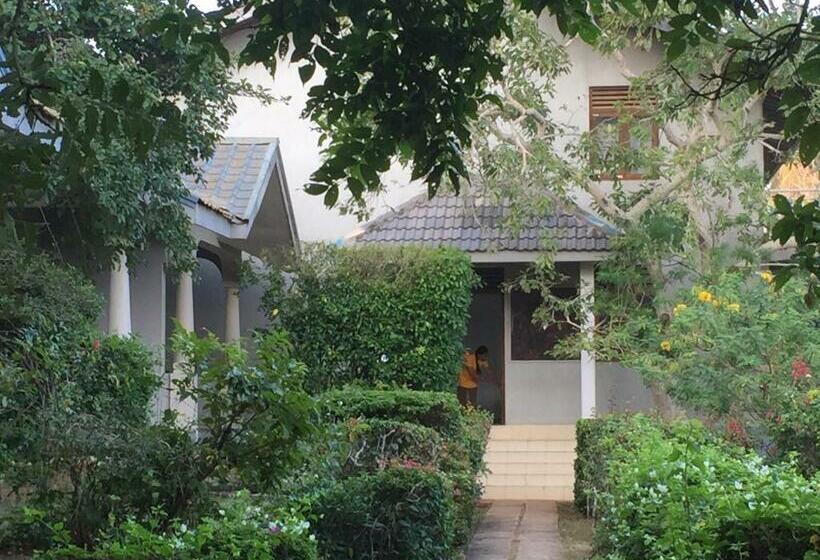 Отель The Oasis Beach Resort